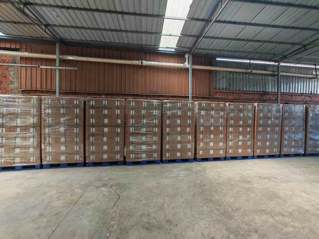 Câble optique papillon renforcé métal avec gaine extérieure LSZH et fibre résistante à la courbure pour le câblage du système FTTX