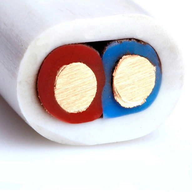 Bvvb 10 mm en PVC protégé ou non protégé Enveloppe parallèle en cuivre