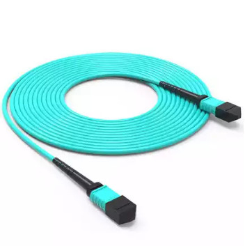 10G 40G 100G 12 Core MPO Cable MTP Trunk Cable SM OM3 OM4 8 12 24 Noyaux
